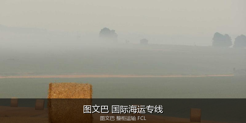 海运拼箱与整柜运输优劣对比